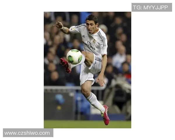 世界足球巨星点评平台官方网站 足球资讯动态与球员评论全方位解析